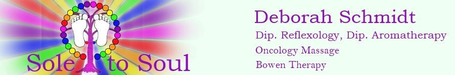 Banner for Sole to Soul Alternative Therapies Banner for Sole to Soul Alternative Therapies